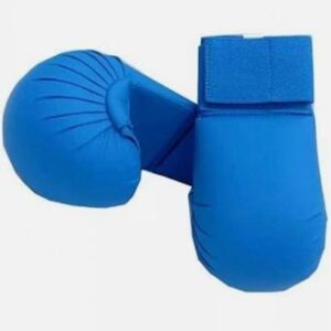 Karate Gloves